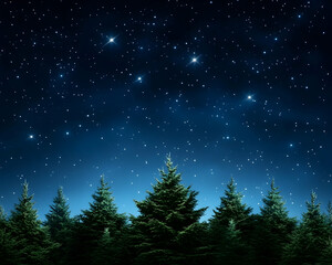 Fototapeta premium Starry night forest scene (1)