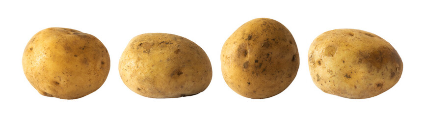 set of potato isolated on white