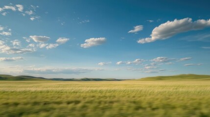Obraz premium Vast, golden prairie landscape under a vibrant blue sky