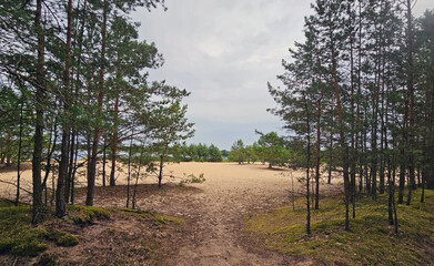 tolle Ansichten von einem Berliner See mit Strand