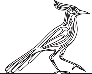 Line Art of a Roadrunner Bird Vector