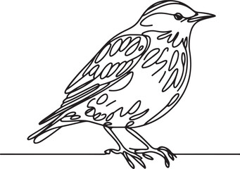 Elegant Line Drawing of a Starling Bird