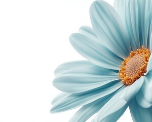 Close up view of a beautiful light blue flower with petals
