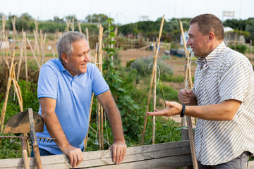 Neighbor conversation. Two smiling men breezily chatting near wooden plank fence of rural house on...