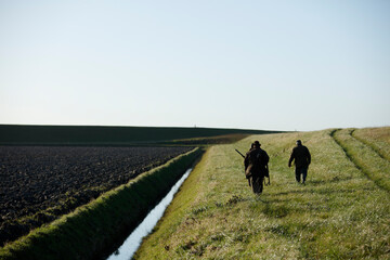 Hunting wild hares in a scenic rural landscape during late afternoon