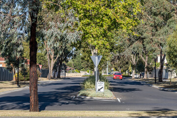A suburban street features a tree-lined asphalt road with a median strip displaying a 