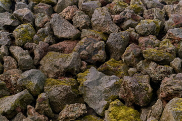 Moss growing on volcanic rocks forming a textured background