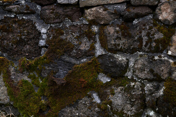 Old stone wall covered in green moss texture background