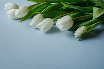 White tulips bouquet on light blue background with copy space