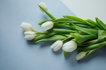 White tulips bouquet on light blue background
