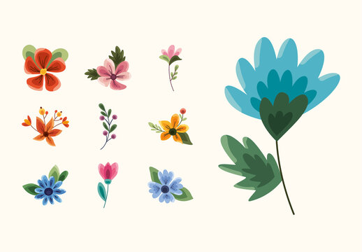 Colorful Floral Decorative Botanical Illustration Set