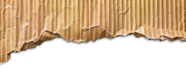 Torn Brown Cardboard Paper Edge Isolated on White