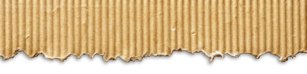 Torn Brown Cardboard Paper Edge Isolated on White
