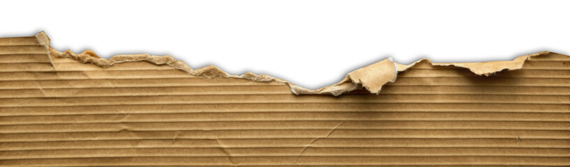 Torn Brown Cardboard Paper Edge Isolated on White