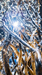Intricate tree root weave on a dark background, illuminated by twinkling lights, creating a mysterious and enchanting atmosphere.