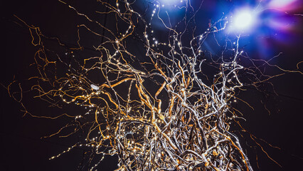 Intricate tree root weave on a dark background, illuminated by twinkling lights, creating a...