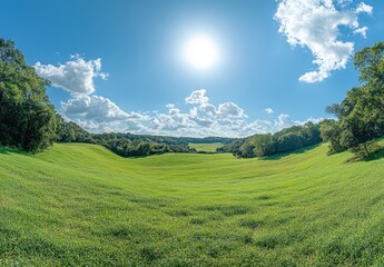 Fototapeta premium Expansive Green Meadow Under a Bright Sky with Fluffy Clouds and a Radiant Sun in a Serene Natural Landscape