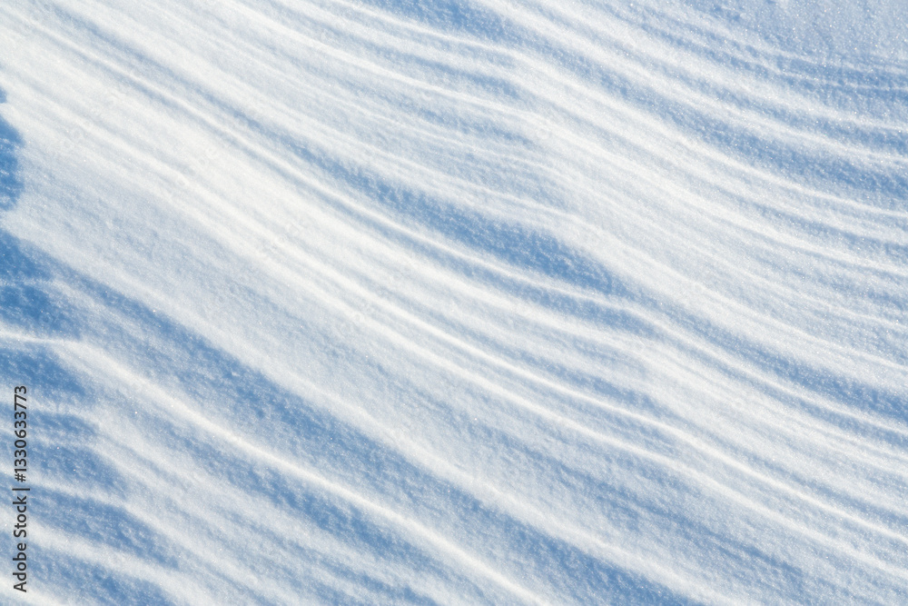 Canvas Prints beautiful winter background with snowy ground. natural snow texture. wind sculpted patterns on snow 