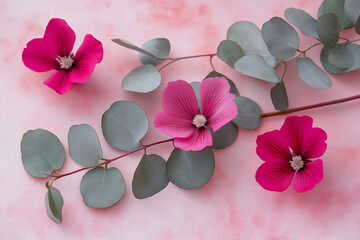 Flowers composition. Pink flowers and eucalyptus branches on pink background. Mother's day, women's day concepts