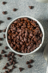 Organic Raw Mini Chocolate Chips
