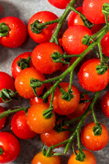 Organic Raw Red Cherry Tomatoes