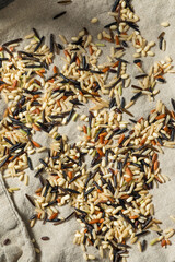 Organic Dry Asian Wild Rice