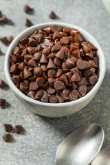 Organic Raw Mini Chocolate Chips