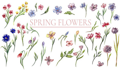 delicate watercolor collection of hand-painted spring flowers in various colors. Includes red, blue, yellow, and purple blossoms with green leaves. Perfect for wedding invitations, cards, and prints.