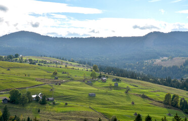 Naklejka premium Lush green fields spreading across a serene rural area with a peaceful village nestling amidst forested hills. Carpathian Mountains, Ukraine