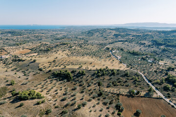 Fototapeta premium Road through olive groves on the mountain slopes. Greece. Drone
