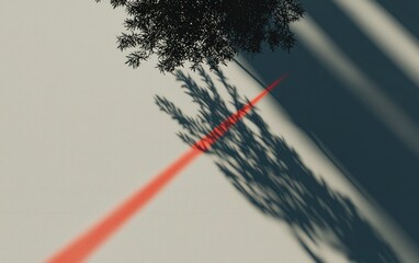 Red Line On Gray Surface With Tree Shadow
