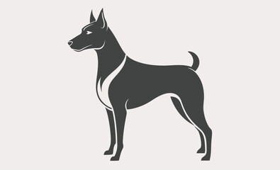 Boarder dog resting silhouette