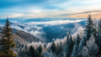 Obraz premium Serene Frosty Landscape with Snow-Covered Trees Against Dramatic Sky and Mountain Range at Sunrise in a Peaceful Winter Wonderland