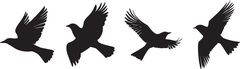 Silhouette of a bird flying vector silhouette