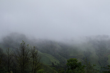 Mountain peak with green trees cover by fog. Creating an otherworldly and serene ambiance in morning.