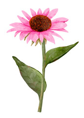 A Beautiful and Vibrant Pink Flower Illustration Featuring Lush Green Leaves All Around