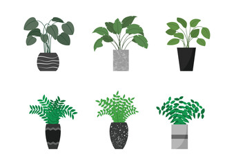 Set of plants for interior design and architecture projects.