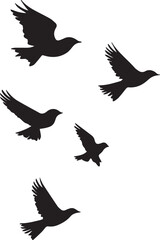 Silhouette of a birds flying in sky vector silhouette