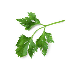 Fototapeta premium Sprig of fresh parsley isolated on white, top view