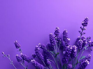 Fototapeta premium Vibrant Lavender Purple Minimalist Background AI Photo