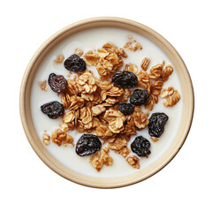 Healthy Organic Yogurt Bowl with Granola, Raisins, and Oats: A Delicious Breakfast to Boost Energy and Nutrition