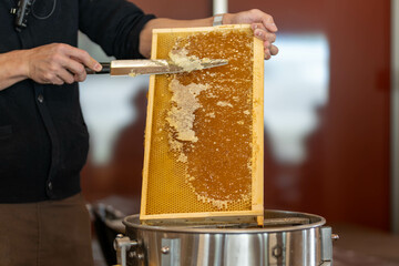 蜜刀でハチの巣から蜜を採取する瞬間