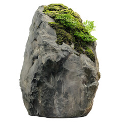 Rocky Landscape with Mossy Stones: A Nature-Packed Wilderness Formation