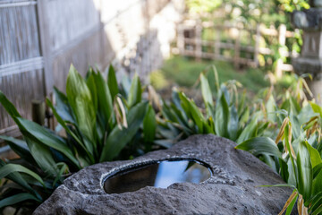 手水鉢に映る静寂と緑が織りなす和の庭園風景