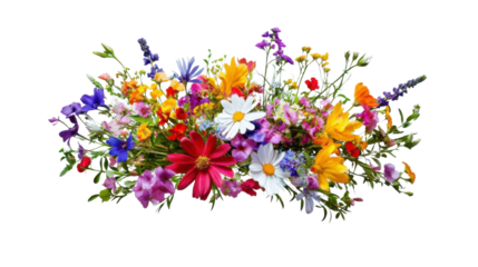 Colorful wildflower bouquet blooming on transparent background