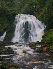 Fototapeta premium A stunning waterfall cascades over rocks, surrounded by lush green foliage. The water flows smoothly, creating a serene and picturesque scene in the midst of a forest.