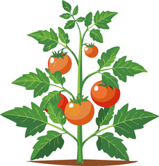 Vibrant Tomato Plant: A Garden's Delight