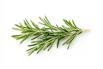 Fototapeta premium Vibrant and aromatic rosemary leaves on a white background ideal for cooking enthusiasts : Generative AI