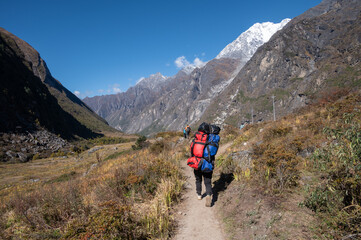 Fototapeta premium Porter carrying guest bags in Langtang valley, Nepal.