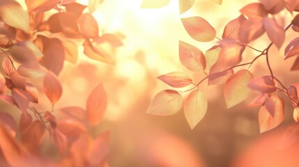 Fototapeta premium Sunlight filtering through autumn leaves, creating a warm golden glow and soft bokeh background. Vibrant fall colors with copy space.